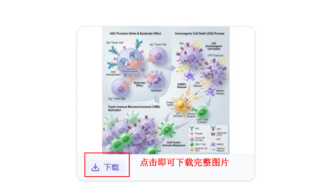 飞书文档图片